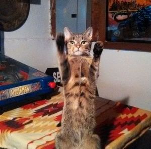 Meet your Posher, Kerry